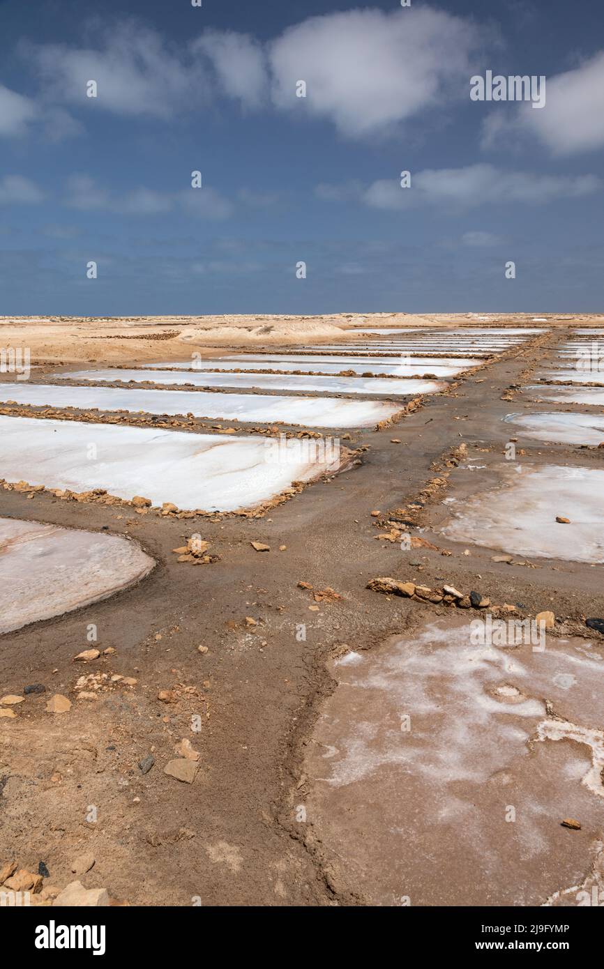 Salzteiche von Santa Maria/Salinas de Santa Maria. Eine geschützte Landschaft aus Salzverdunstungspeichen, Sal Island, Kap Verde, Cabo Verde Inseln, Afrika Stockfoto