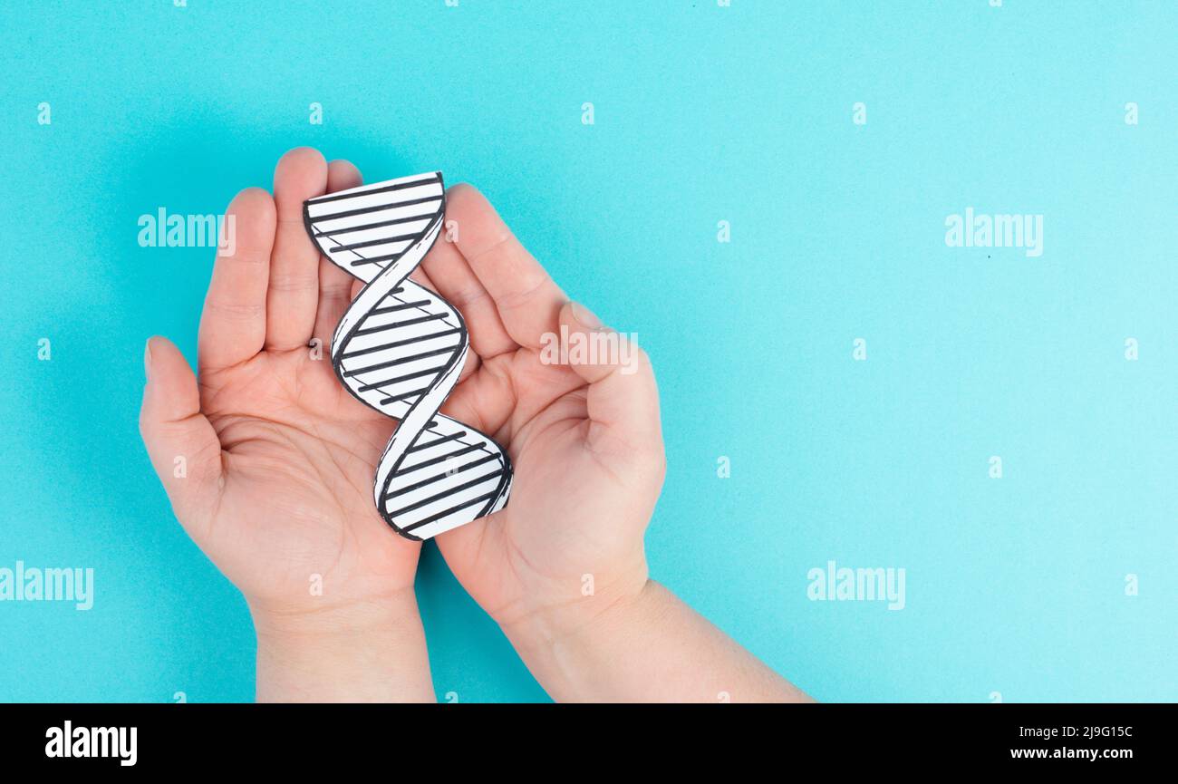 Einen DNA-Strang in der Hand halten, Gentherapie und Behandlung, Biotechnologie in der modernen Medizin, gen-basierte Impfung Gesundheitswesen Stockfoto