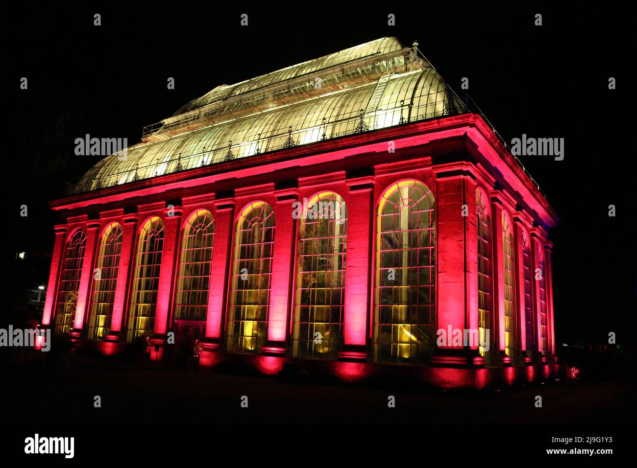 Lichtshow des Botanischen Gartens Stockfoto
