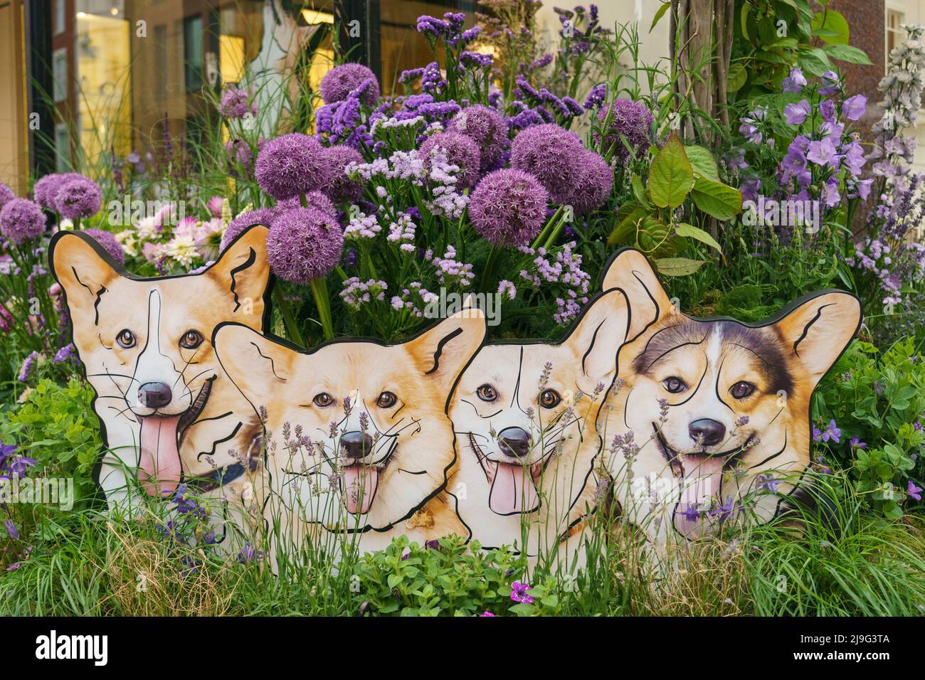 Gesamtansicht einer Blumendarstellung im Corgi-Stil in Chelsea, West London, als Teil von Chelsea in Bloom 2022, London. Bilddatum: Montag, 23. Mai 2022. Stockfoto