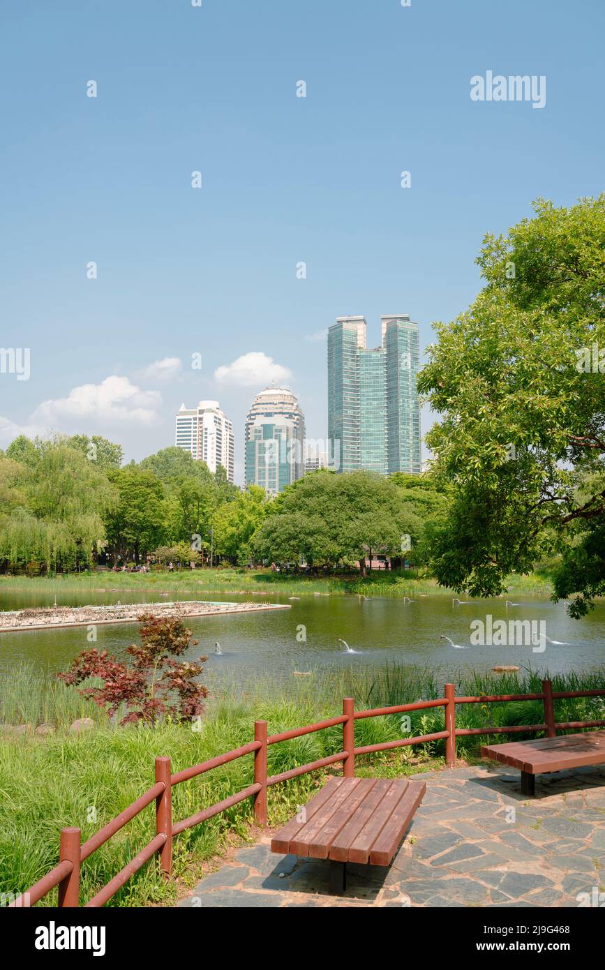 Frühling des Boramae Parks in Seoul, Korea Stockfoto