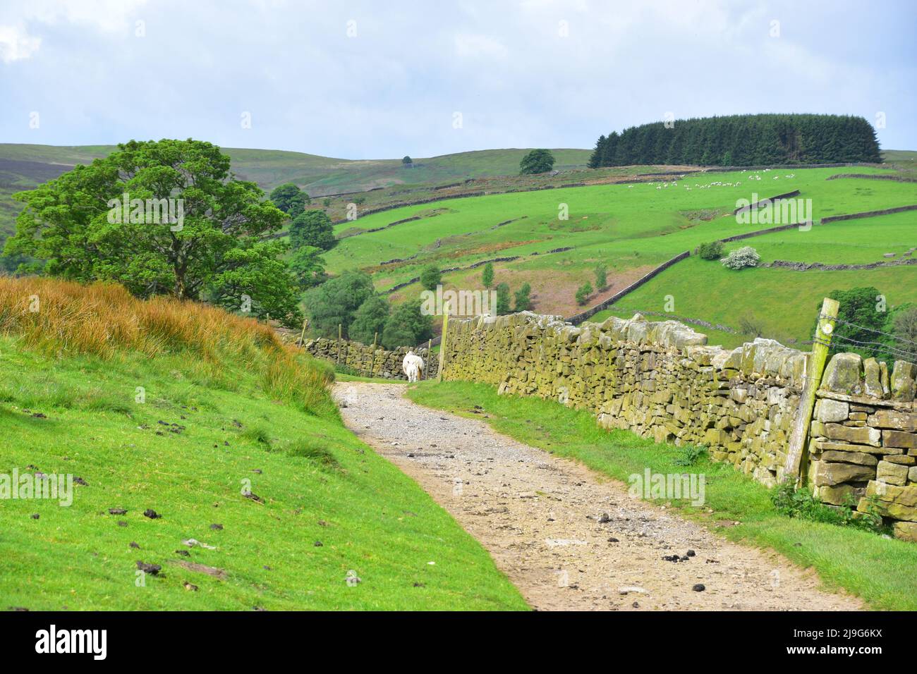 Bronte Way, nach Bronte Waterfalls and Top Withens, Haworth, Pennines, West Yorkshire Stockfoto