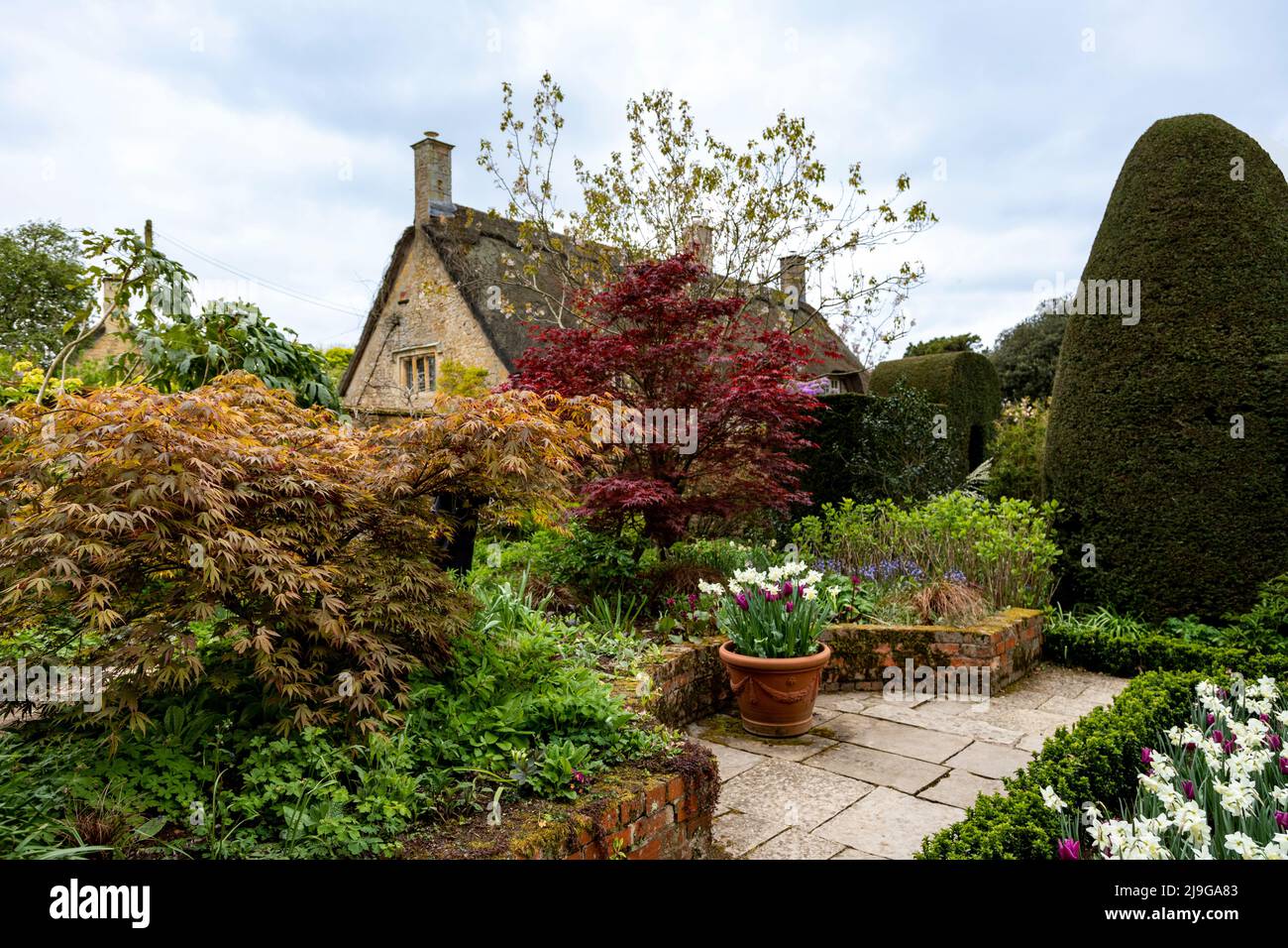 Frühjahrssaison in Hidcote Manor Garden, Cotswolds, Chipping Camden, Gloucestershire, England, Vereinigtes Königreich. Stockfoto