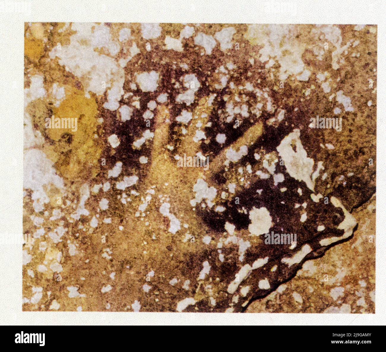 Empreinte de Mains, grotte Leang Timpuseng, Indonésie, 40000 ans Stockfoto
