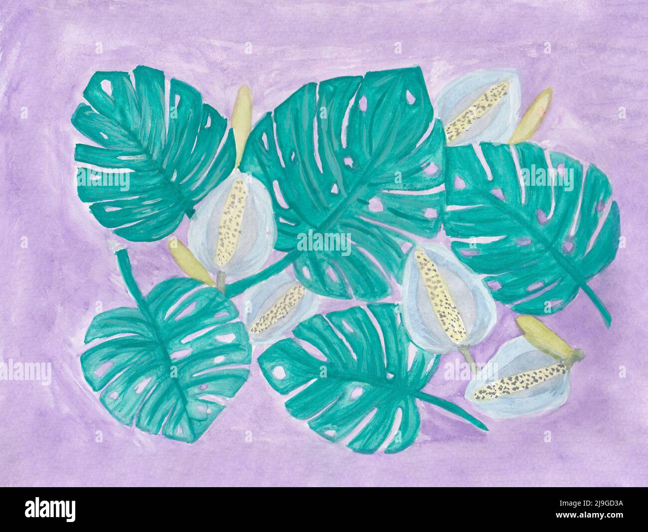 Handgezeichnete Monstera-Pflanze, in Aquarelltechnik geschaffen Stockfoto