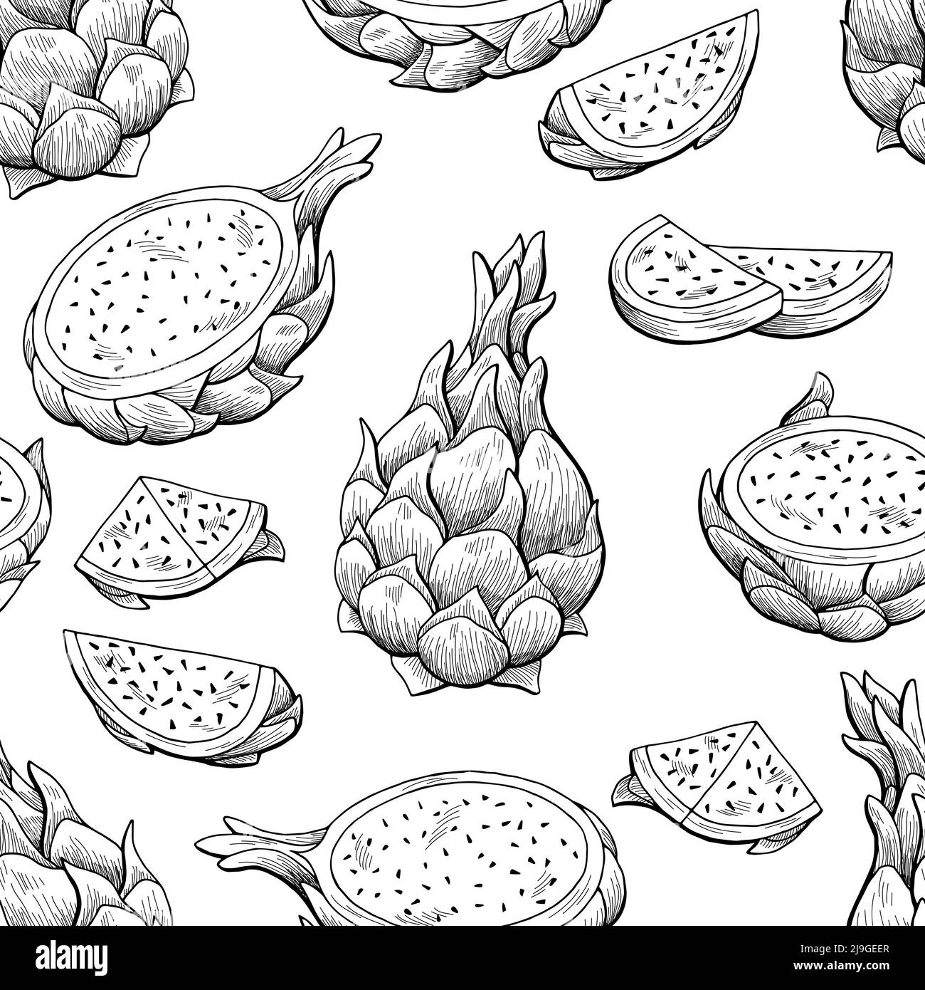 Pitaya Drachen Obst Grafik schwarz weiß nahtlose Muster Hintergrund Skizze Illustration Vektor Stock Vektor