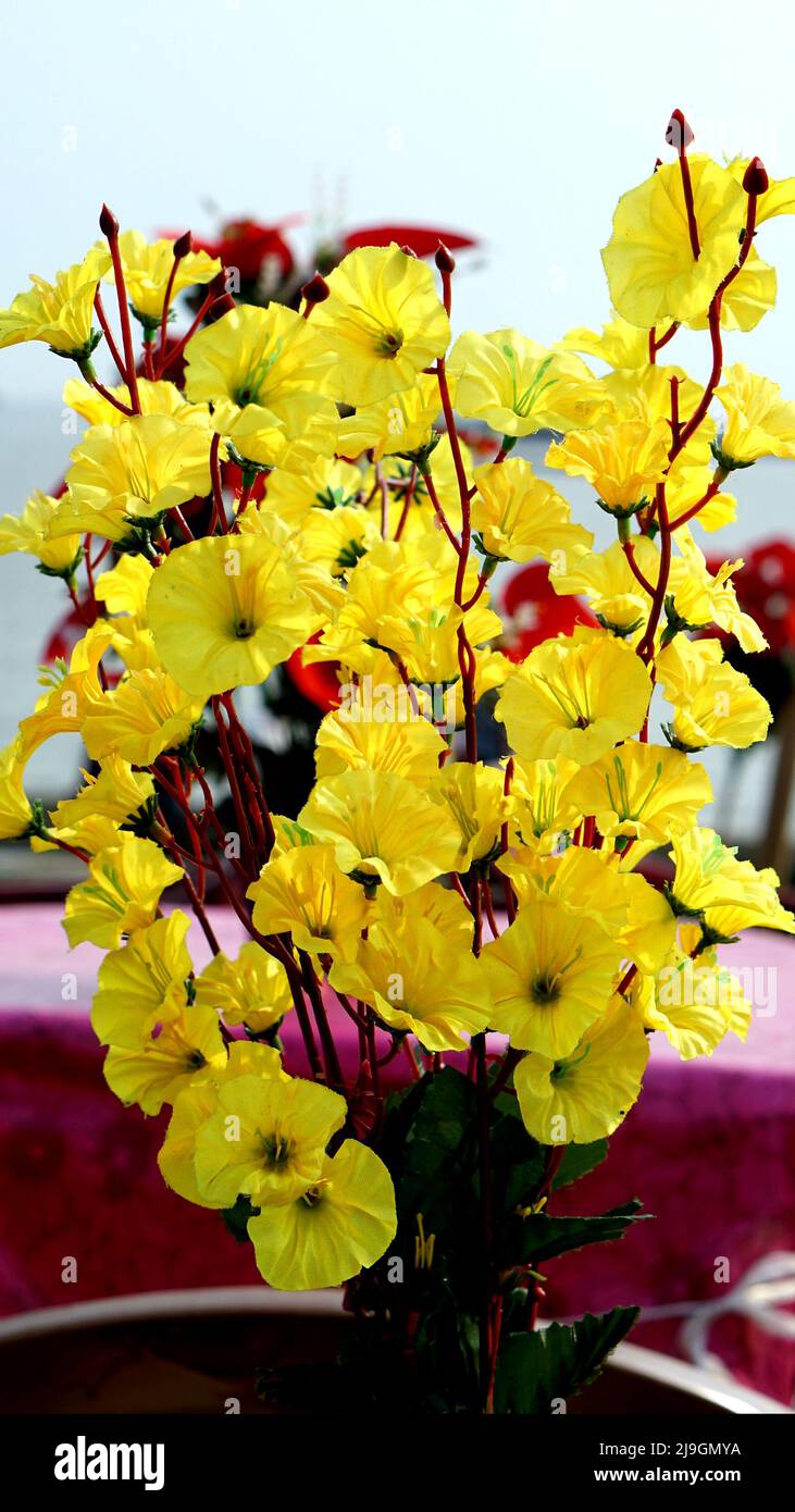 Gelbe Blumen machen Stockfoto
