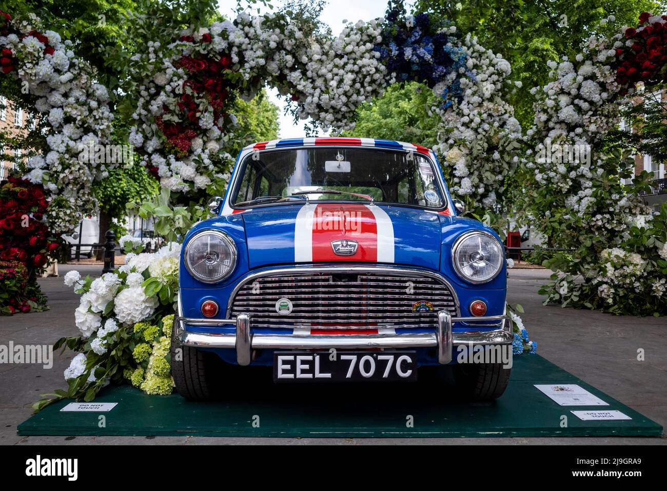 London, Großbritannien. 23 Mai 2022. Ein floraler Mini, der Teil von Chelsea in Bloom ist, eine Blumenkunstausstellung, die vom 23. Bis 28. Mai die Straßen von Chelsea mit Blumenmotiven umgestaltet. Die jährliche Veranstaltung wird von Cadogan in Zusammenarbeit mit der Royal Horticultural Society (RHS) produziert. Kredit: Stephen Chung / Alamy Live Nachrichten Stockfoto