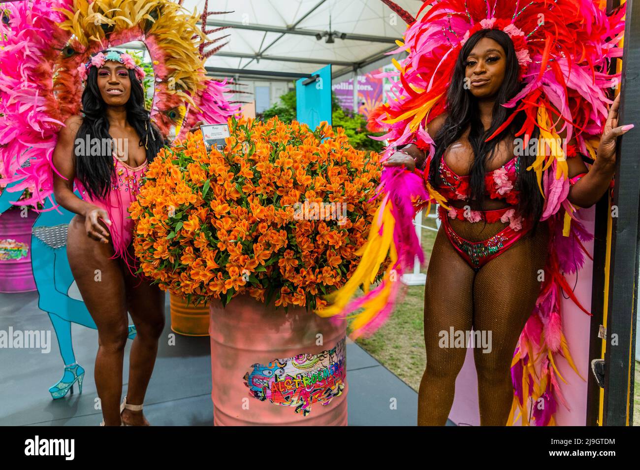 London, Großbritannien. 23.. Mai 2022. Der Karneval von Parigo - die Feier von Alstroemeria mit Tänzern und Darstellern (vom Karneval in Notting Hill) in bunten Federkostümen - in diesem Jahr hat der große Pavillon seine üblichen Blumenarrangements mit der Discovery Zone gemischt. Die Chelsea Flower Show 2022. Kredit: Guy Bell/Alamy Live Nachrichten Stockfoto