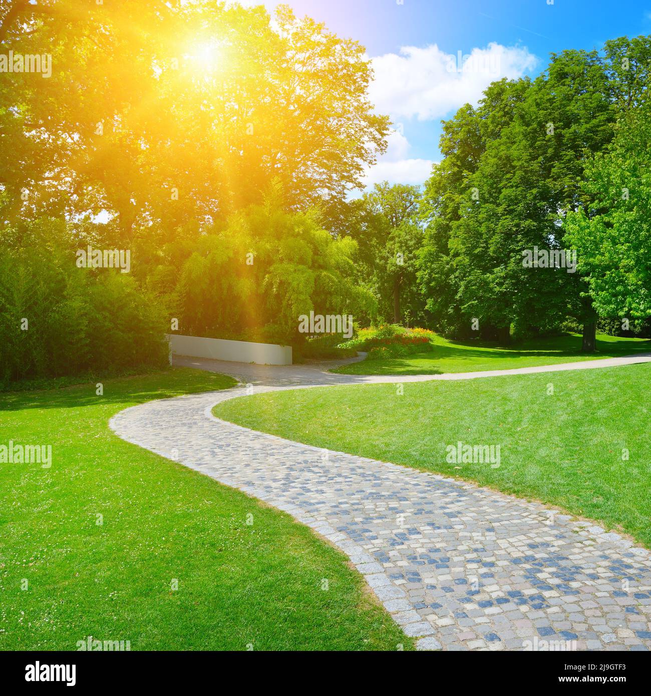 Sonnenaufgang Strahl in schönen Park Stockfoto