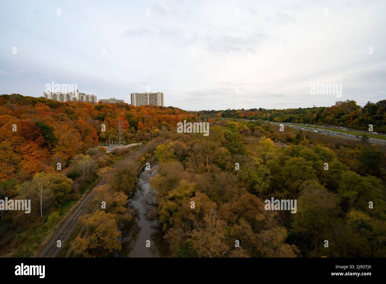 Herbstlaub in Toronto, Ontario, Kanada, während der Herbstsaison von Sonnenlicht umgeben. Stockfoto