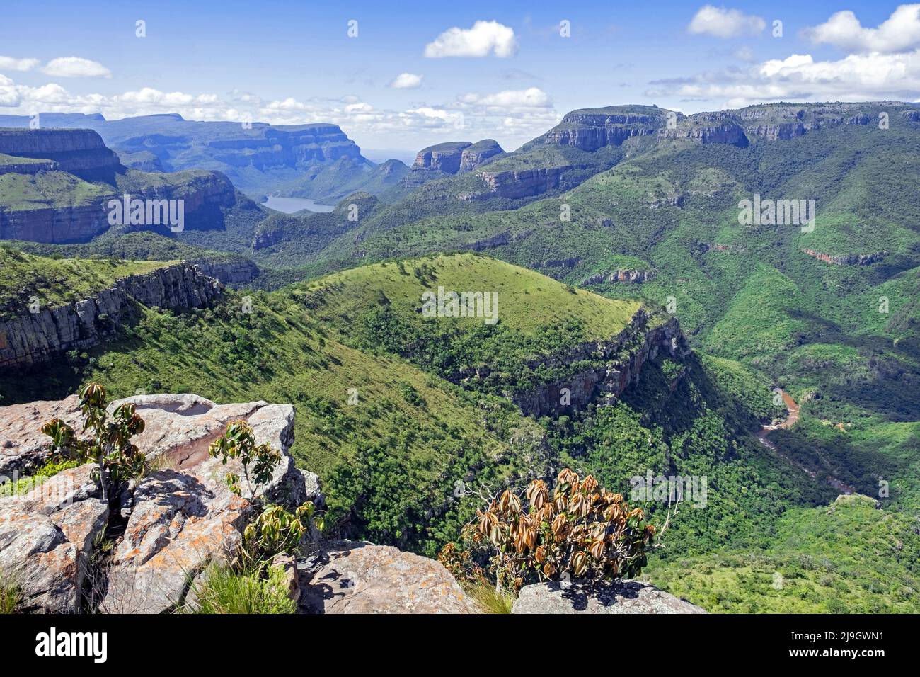 Blick vom Lowveld Aussichtspunkt über den Blyde River Canyon / Blyderivierspoort, Provinz Mpumalanga, Südafrika Stockfoto