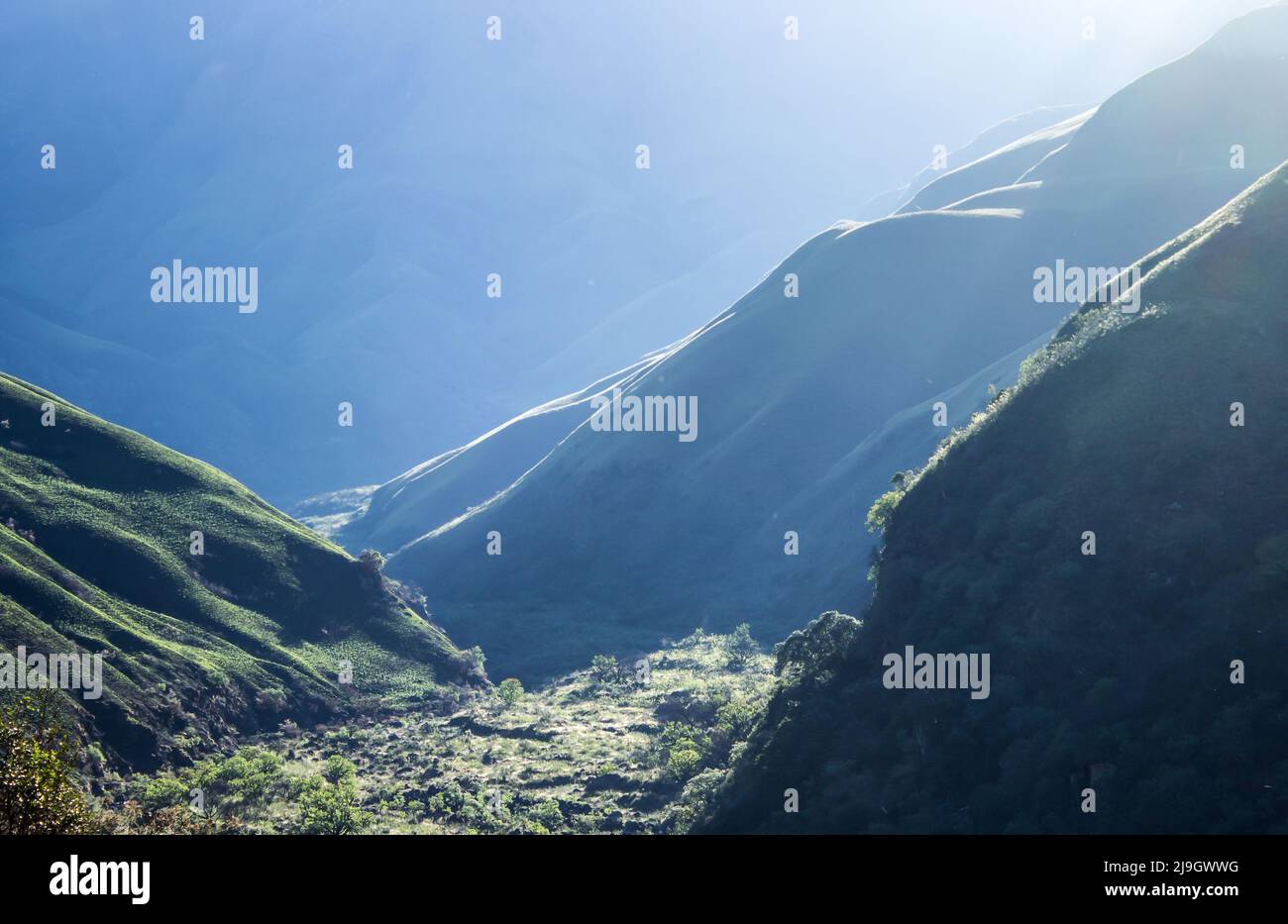 Morgen im Drakensberg, mit einer Schlucht, die vom ersten Licht der Morgensonne erleuchtet wird Stockfoto