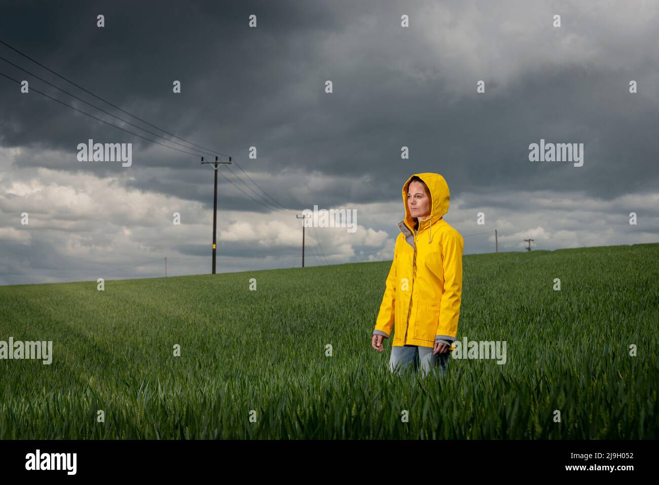Frau trägt einen gelben Mantel in einem grünen Feld mit einem stürmischen Himmel Hintergrund. Stockfoto