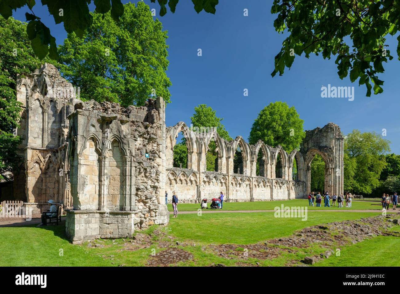 Frühlingsmorgen in den Ruinen der St. Mary's Abbey in York, North Yorkshire, England. Stockfoto