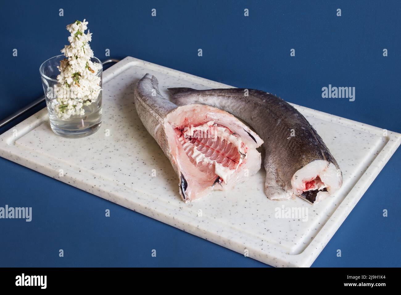 Zwei frische Stücke kopflosen Seehechtes auf einem Schneidebrett auf blauem Studiohintergrund mit sichtbaren Knochen und einem Glas Wasser mit einem dekorativen weißen l Stockfoto