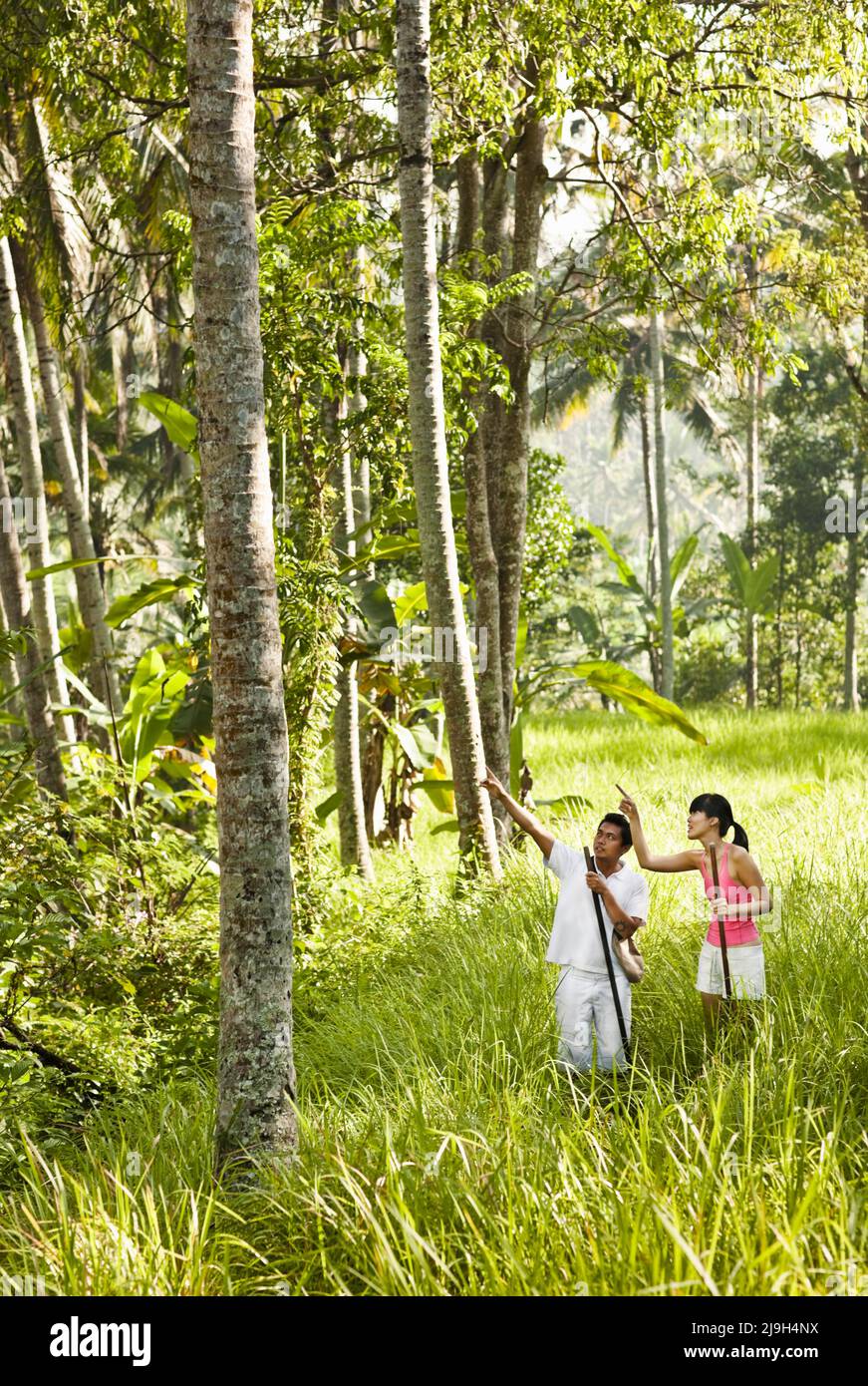 Frauen-Trekking mit Guide in der Nähe von Kayumanis Ubud, Bali, Indonesien. Stockfoto