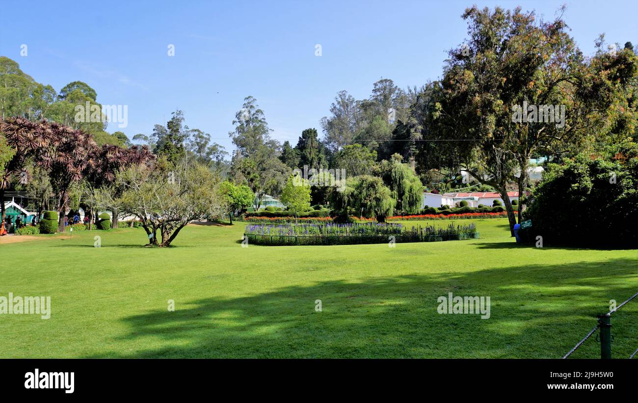 Ooty,Tamilnadu,Indien-April 30 2022: Wunderschöne botanische Gärten der Regierung in Ooty, Tamilnadu, Indien. Heimat von mehr als 1000 Arten. Stockfoto