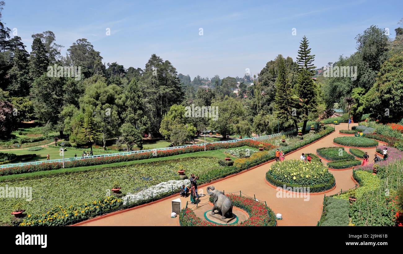 Ooty,Tamilnadu,Indien-April 30 2022: Wunderschöne botanische Gärten der Regierung in Ooty, Tamilnadu, Indien. Heimat von mehr als 1000 Arten. Stockfoto