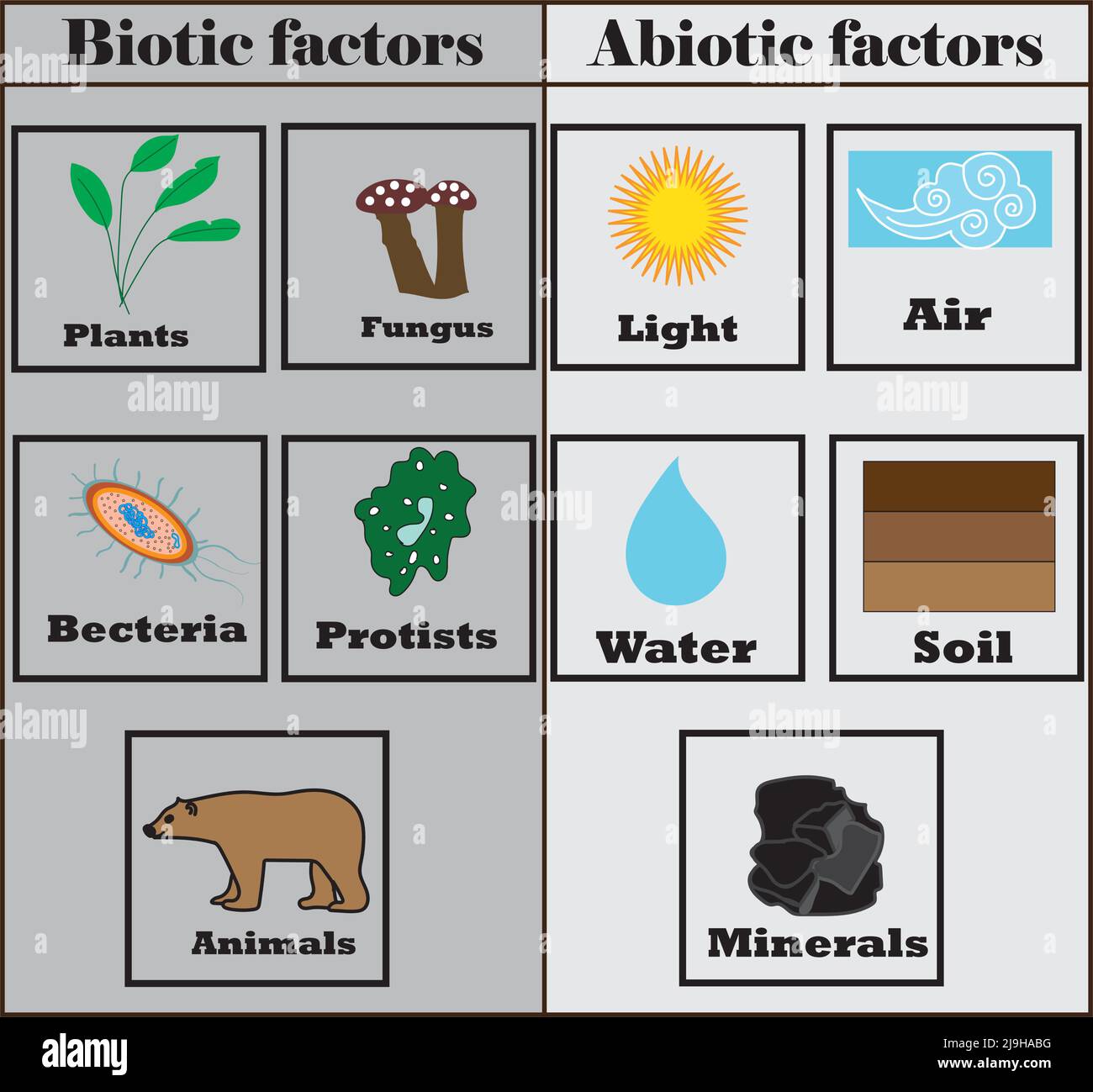 Abiotische Und Biotische Faktoren Biotische und abiotische Faktoren Diagramm.Natur Ökosystem.Studien- und