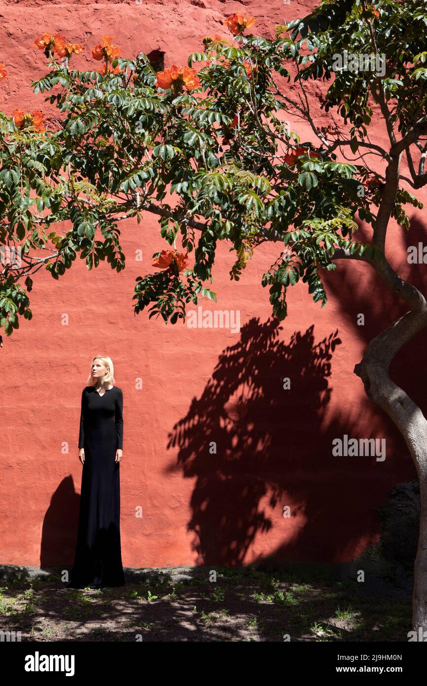 Große Frau in langem Kleid, die vor einer braunen Wand steht Stockfoto