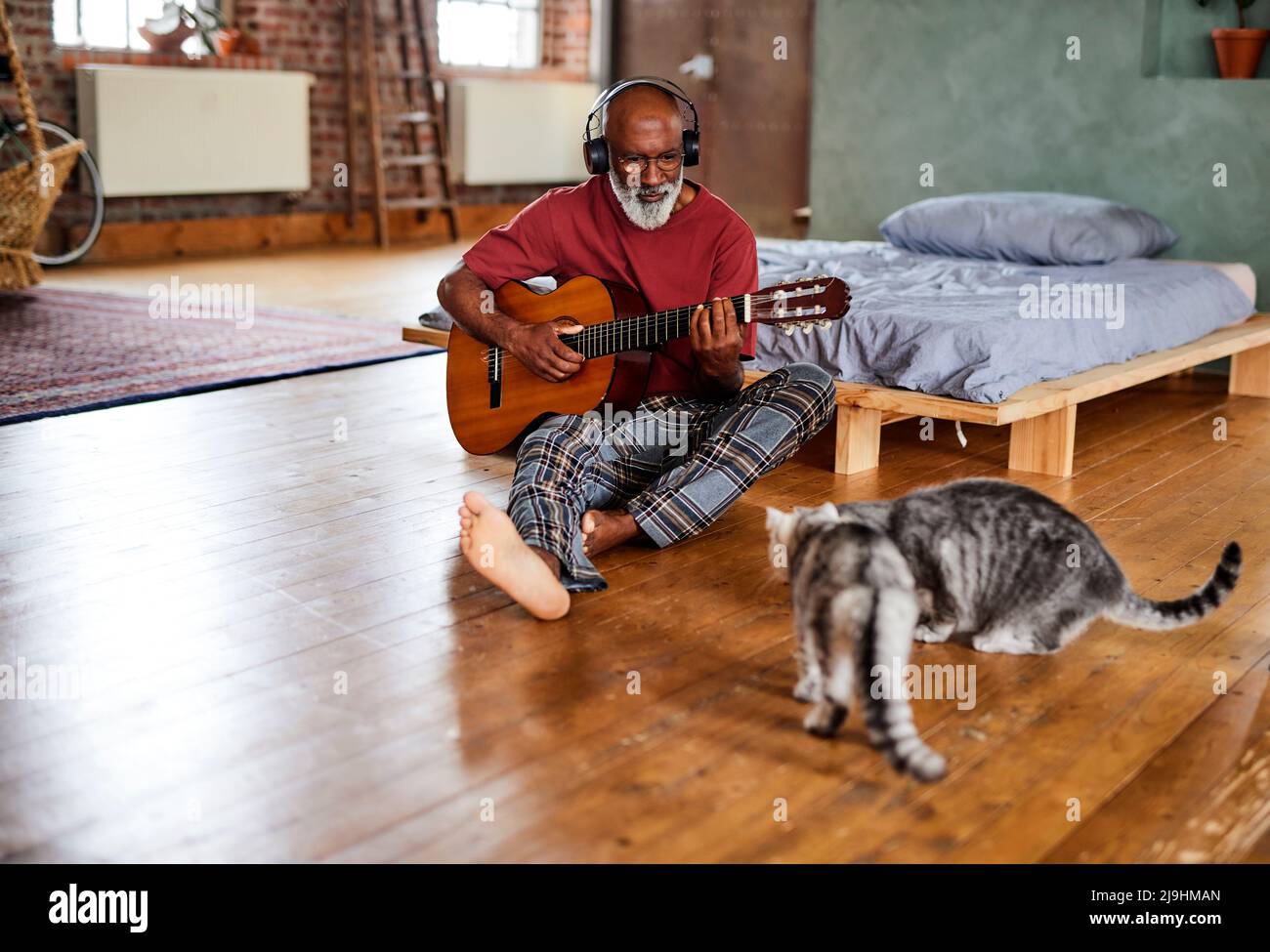 Mann, der zu Hause vor Katzen Gitarre spielt Stockfoto