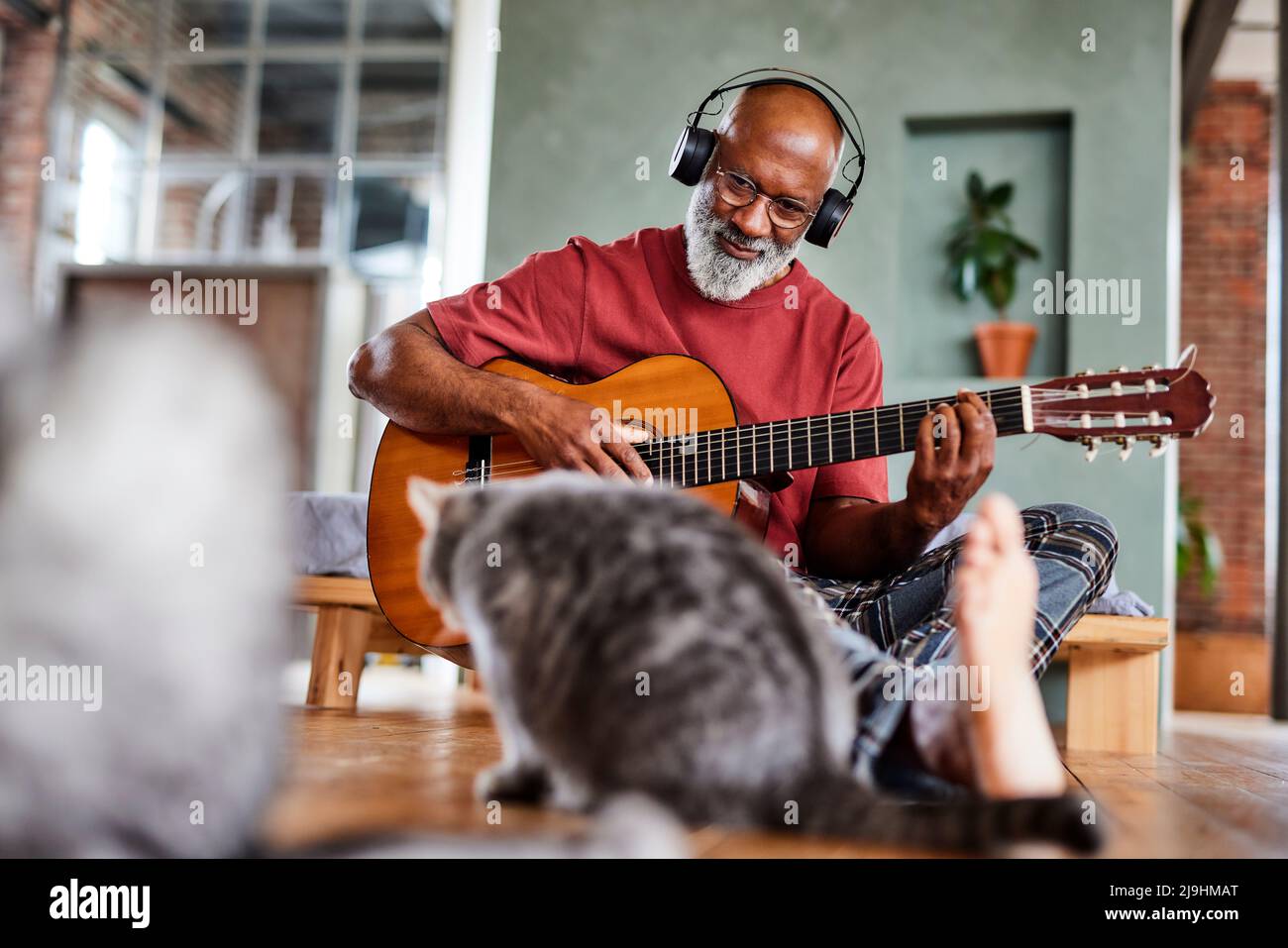 Reifer Mann mit Kopfhörern, der zuhause Gitarre für Katzen spielt Stockfoto