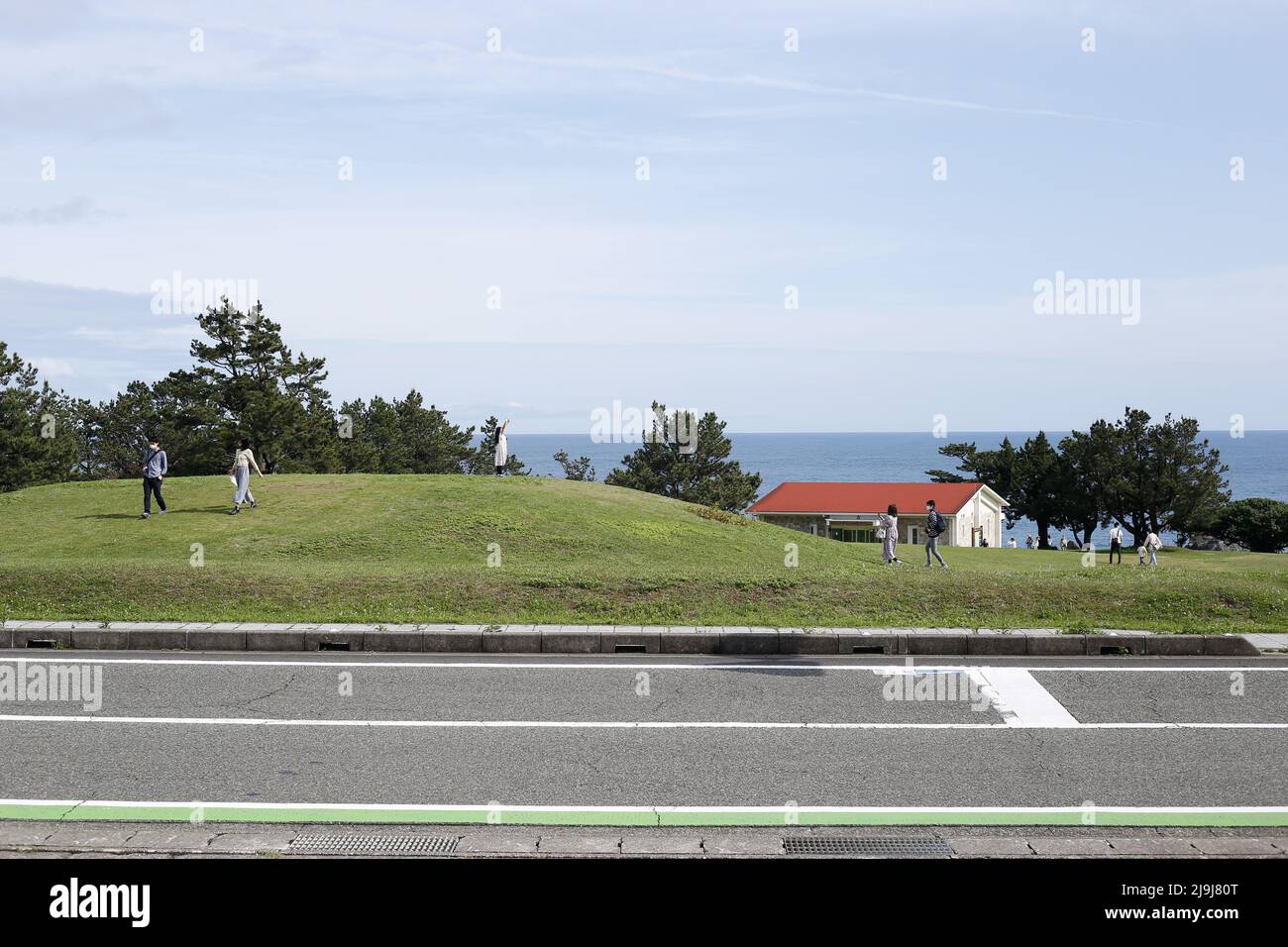 Shionomisaki, Kushimoto, Higashimuro District, Wakayama, Japan, 2022/01/05 , Ein großer Rasen von etwa 100.000 m2 breitet sich an der Spitze des Shionomisaki, Stockfoto