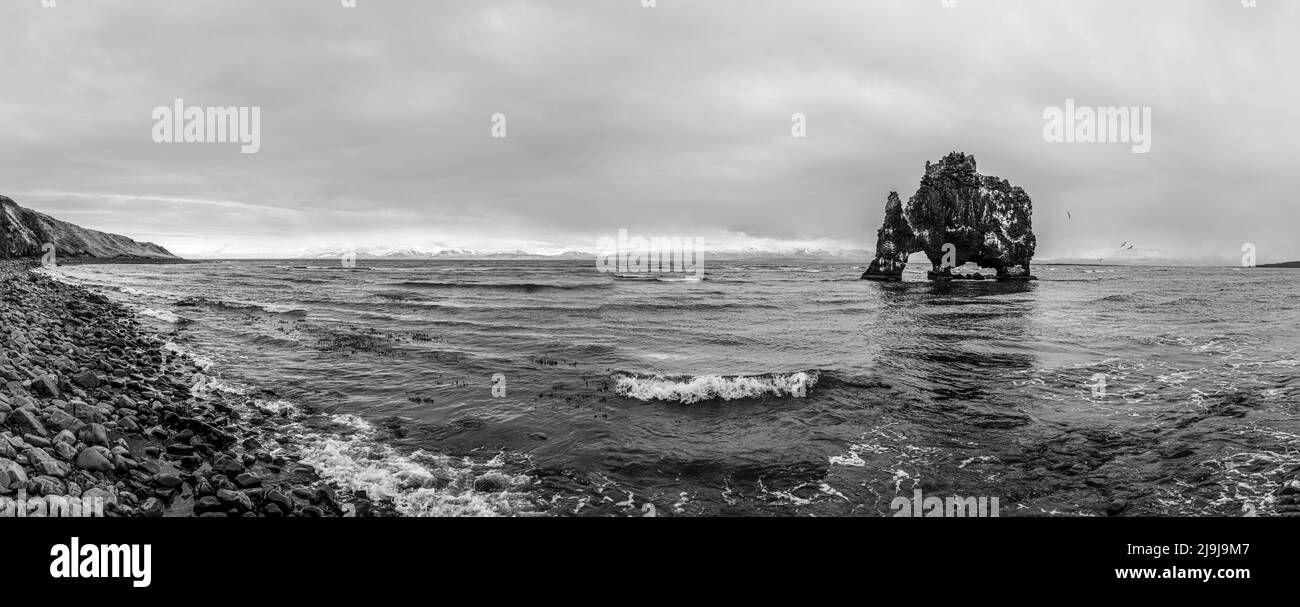 Der Felsen Hvítserkur Troll ist von einem schwarzen Sandstrand aus zu sehen. Diese 15 Meter hohe Basaltinsel ähnelt einem Drachen oder einem Nashorn. Stockfoto