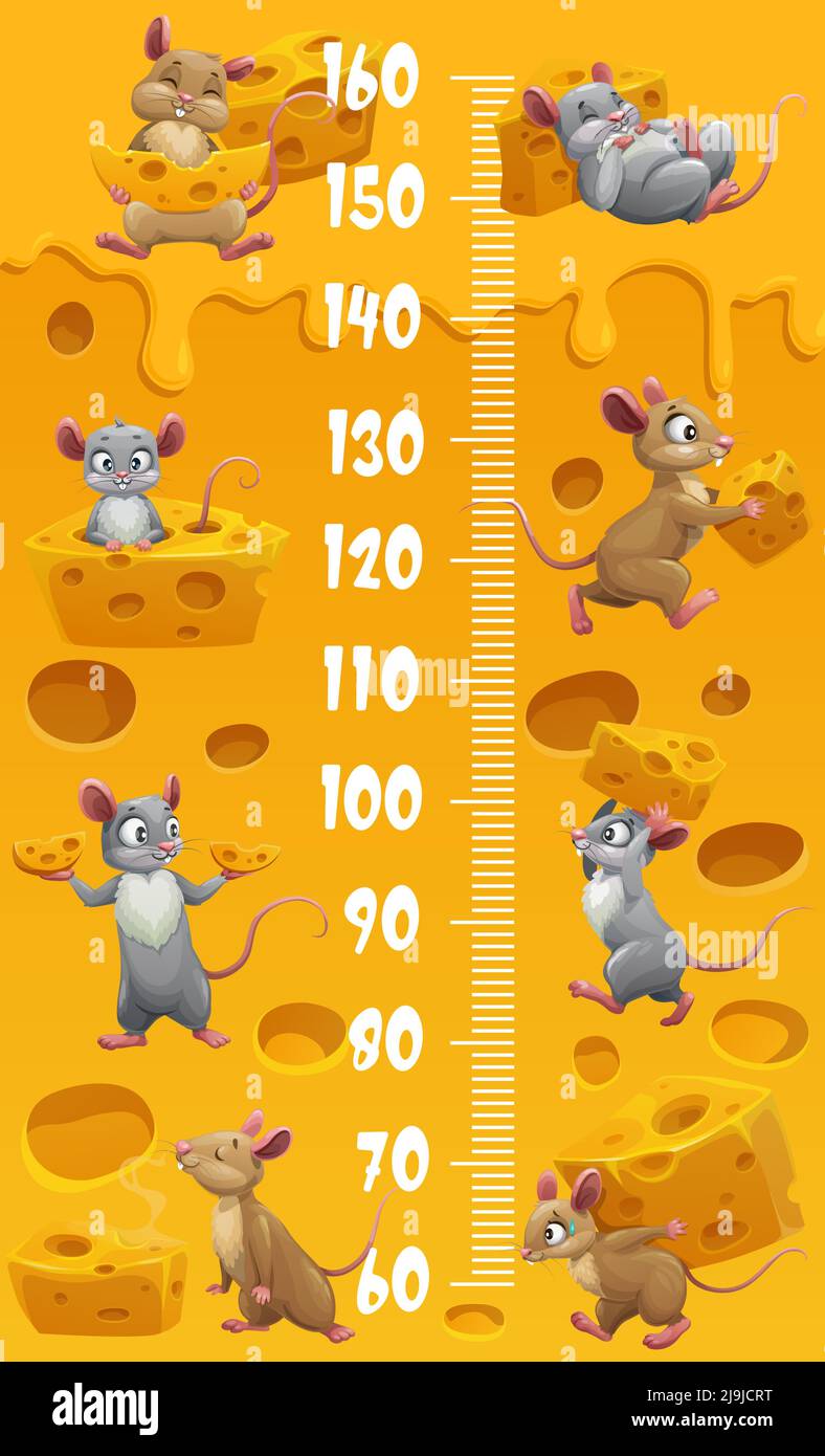 Cartoon Mäuse und Mäuse Persönlichkeiten mit Käse. Größentabelle für Kinder. Kind Wachstum Zentimeter Skala Hintergrund oder Kinder Vektor Höhe Chart, Kinder Wachstum Aufkleber mit lustigen Mäuse, schweizer Käse Stücke Stock Vektor