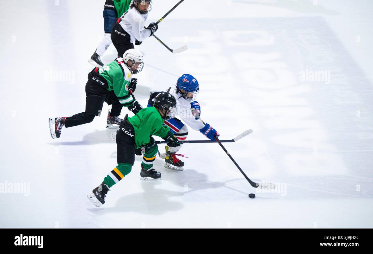 Vaughan, Kanada. 23.. Mai 2022. Die Spieler treten am 23. Mai 2022 bei einem Spiel der Eishockey-Turniere des Victoria Day Classic in Vaughan, Kanada, an. Spieler zwischen 10 und 11 Jahren von Team Prospect Stars nahmen hier am Montag an den Eishockeyturnieren des Victoria Day Classic Teil. Quelle: Zou Zheng/Xinhua/Alamy Live News Stockfoto