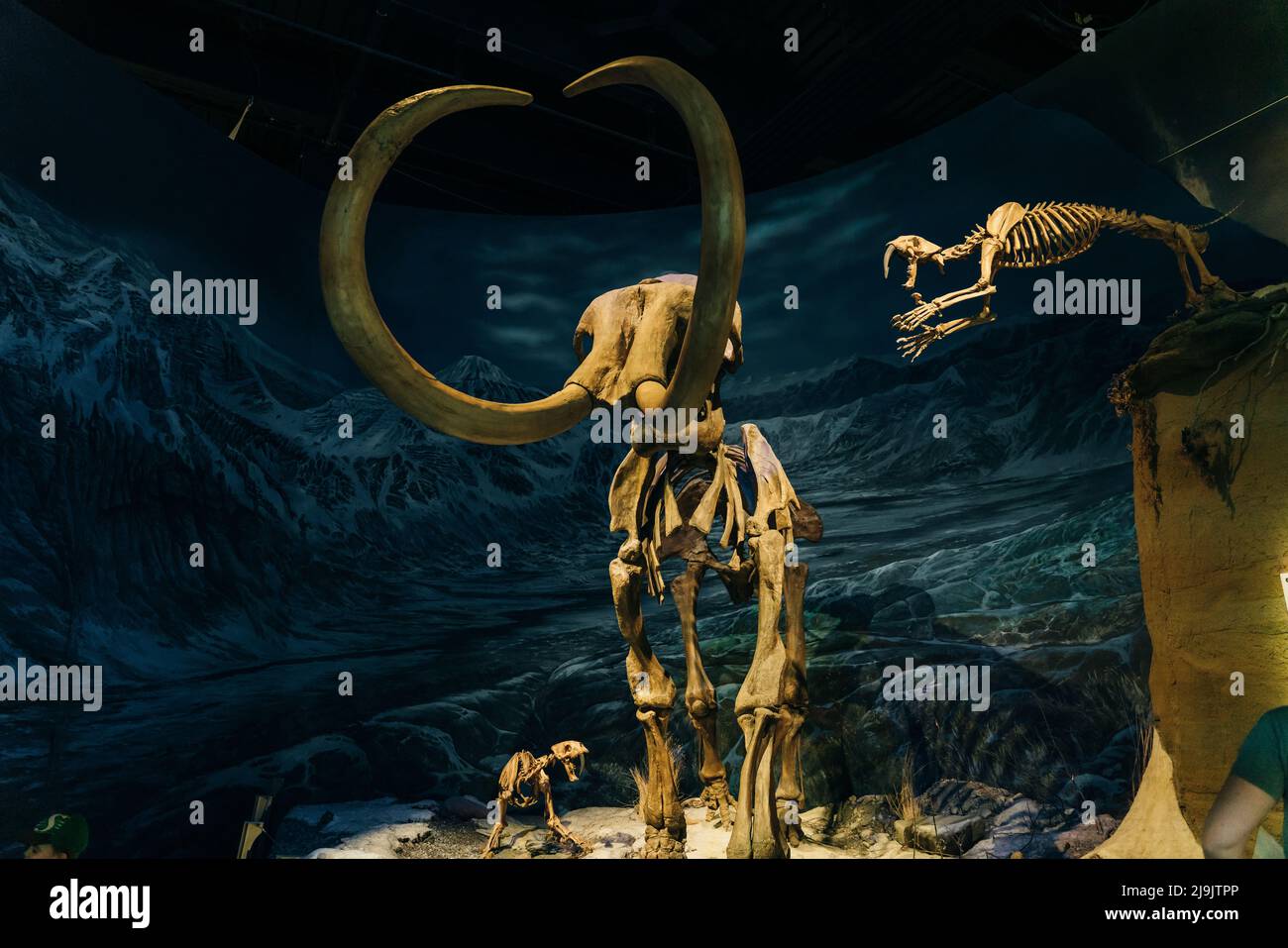 Drumheller, Alberta, Kanada - Mai 2022 das Royal Tyrell Museum of Paleontology beherbergt. Hochwertige Fotos Stockfoto