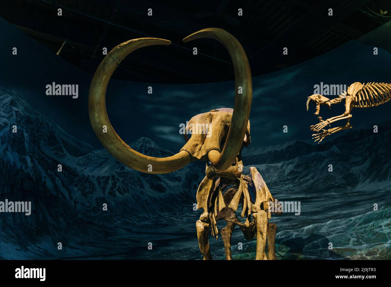 Drumheller, Alberta, Kanada - Mai 2022 das Royal Tyrell Museum of Paleontology beherbergt. Hochwertige Fotos Stockfoto