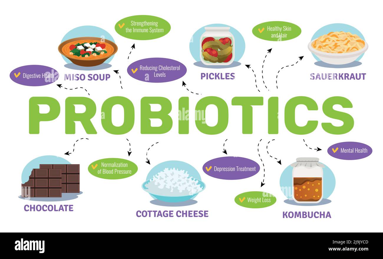 Probiotika und Gesundheitskonzept mit Lebensmittel- und Bakteriensymbolen flach vektorgrafik Stock Vektor
