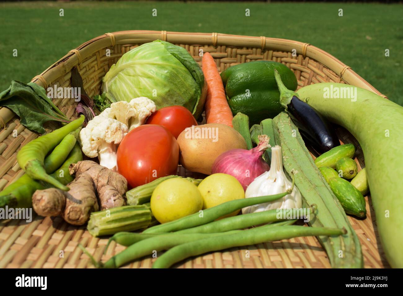 Frische Bio-Mischung verschiedene Gemüsesorten wie Tomaten, Blumenkohl, Kohl, Paprika, Karotten, Kartoffel, grüne Chilis. Viele indische oder pakistanische Vegetabl Stockfoto