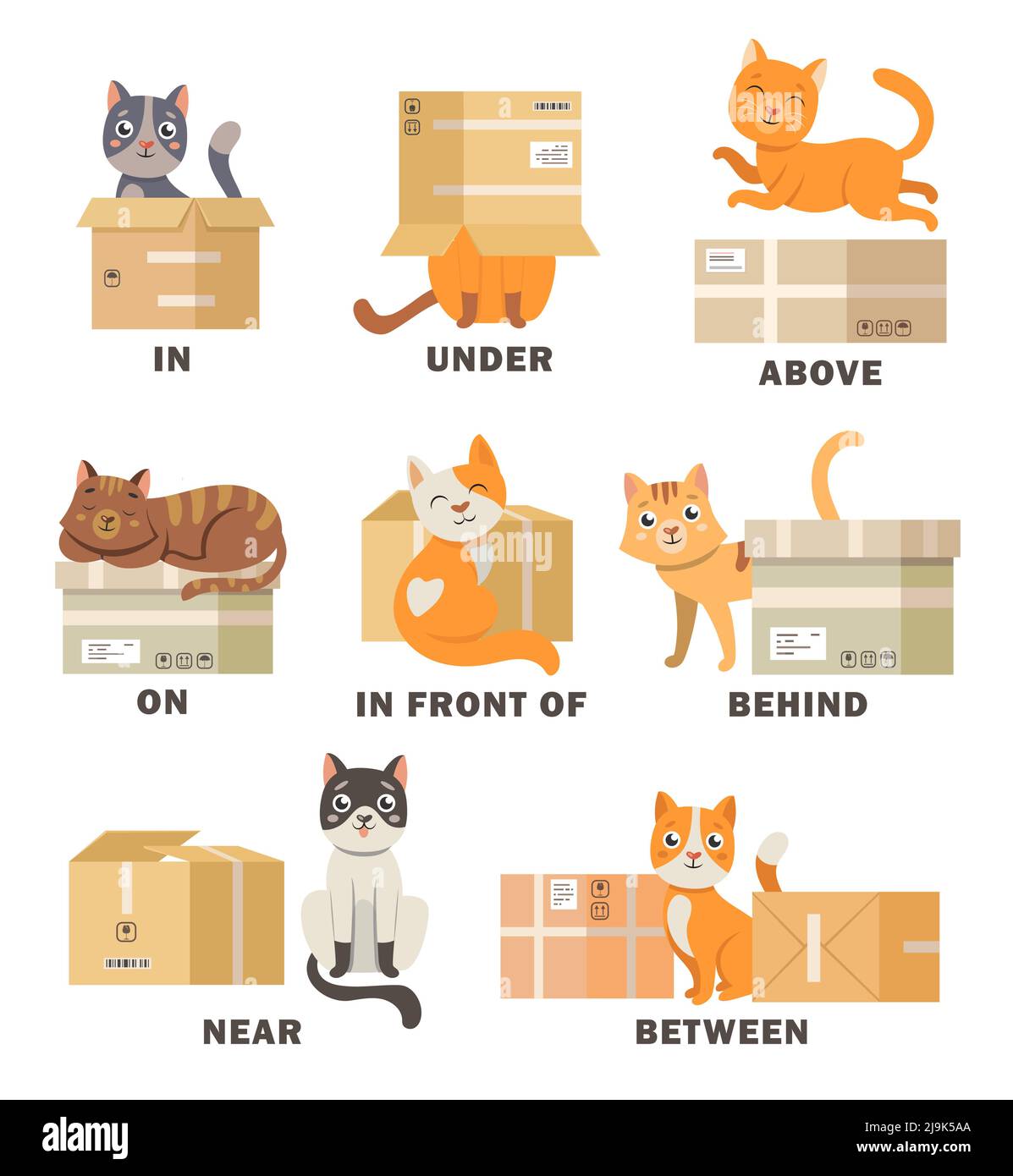Katze in verschiedenen Posen mit Box Cartoon Illustration Set. Visuelle Darstellung der englischen Präposition des Ortes für Kinder. Haustier oben, hinten, betwe Stock Vektor