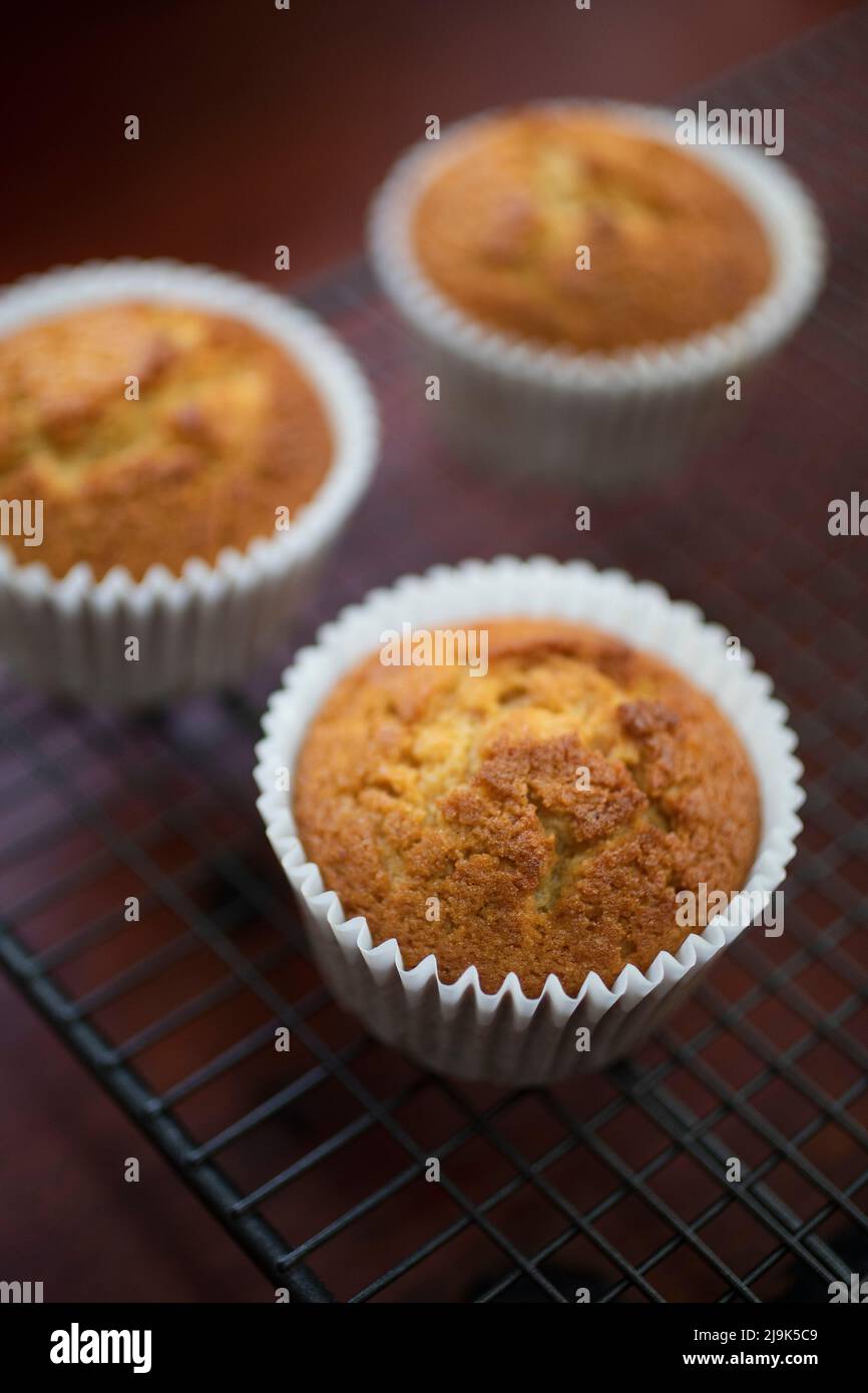 Nahaufnahme von Maismuffins in Cupcake-Linern auf dem Kühlregal Stockfoto