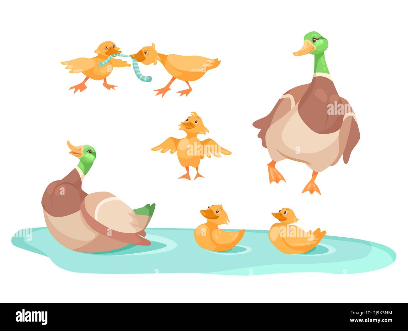 Ente mit niedlichen Enten in Teich Cartoon Illustration Set. Kleine gelbe Enten kämpfen um Wurm, folgen der Mutter, schwimmen in See oder Fluss. Farm an Stock Vektor