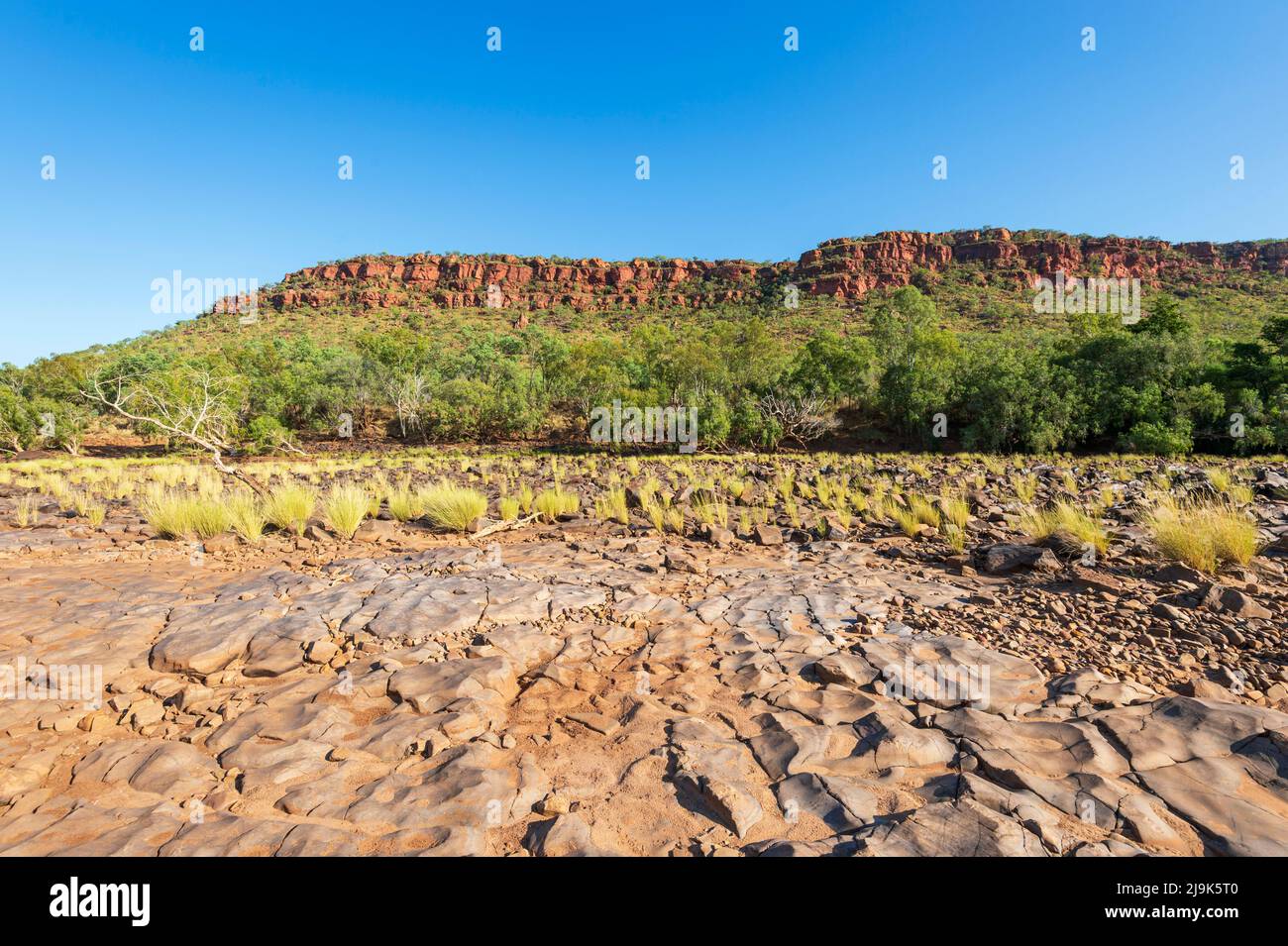 Panoramablick auf das trockene Creekbed des Victoria River, Gregory National Park, Northern Territory, NT, Australien Stockfoto