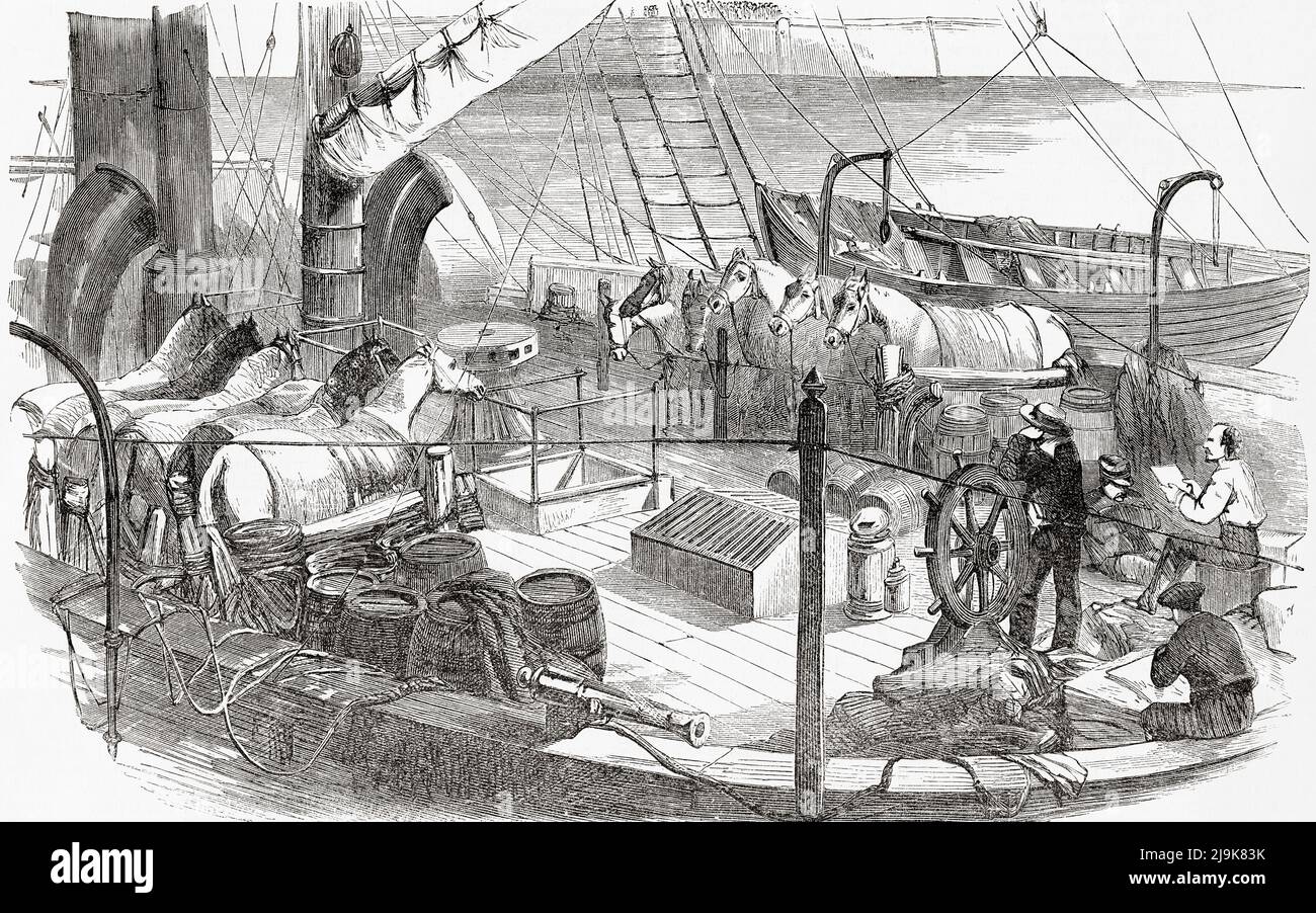 Der Transport von Pferden an Bord eines Schiffes durch die italienische Armee. Aus L'Univers Illustre, Paris, 1859 Stockfoto