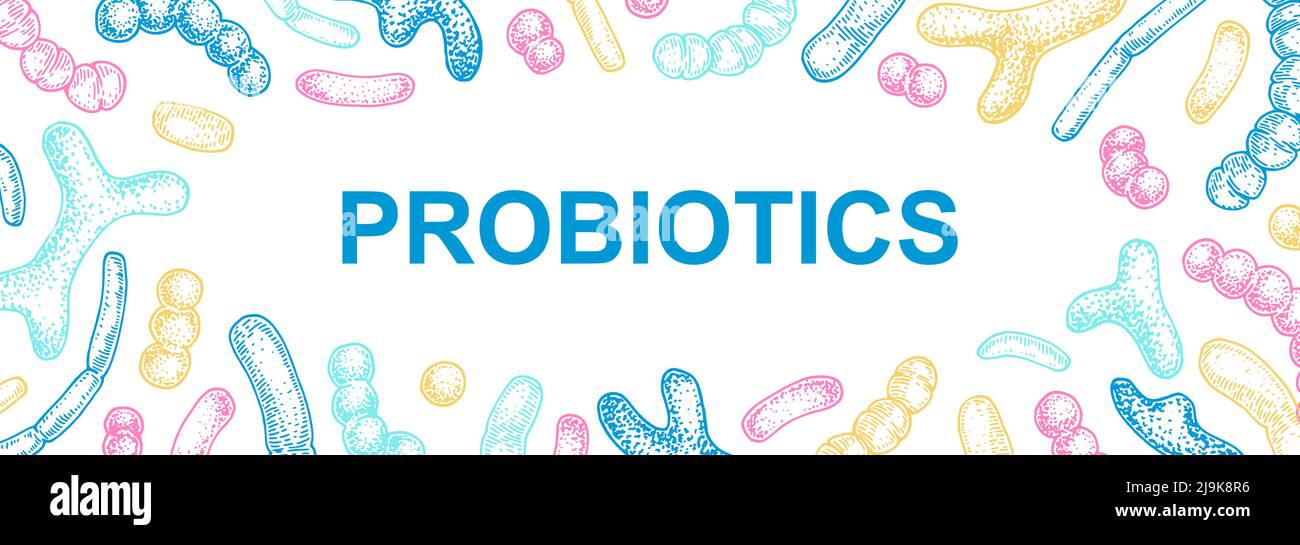 Handgezeichnetes Probiotika-Design für Verpackung und Branding. Vektorgrafik im Skizzenstil. Mikroskopische Bakterien aus der Nähe. Biologisches Hintergrundwissen Stock Vektor