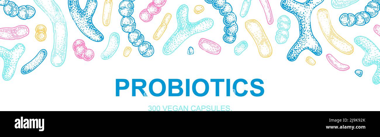 Handgezeichnetes Probiotika-Design für Verpackung und Branding. Vektorgrafik im Skizzenstil. Mikroskopische Bakterien aus der Nähe. Biologisches Hintergrundwissen Stock Vektor