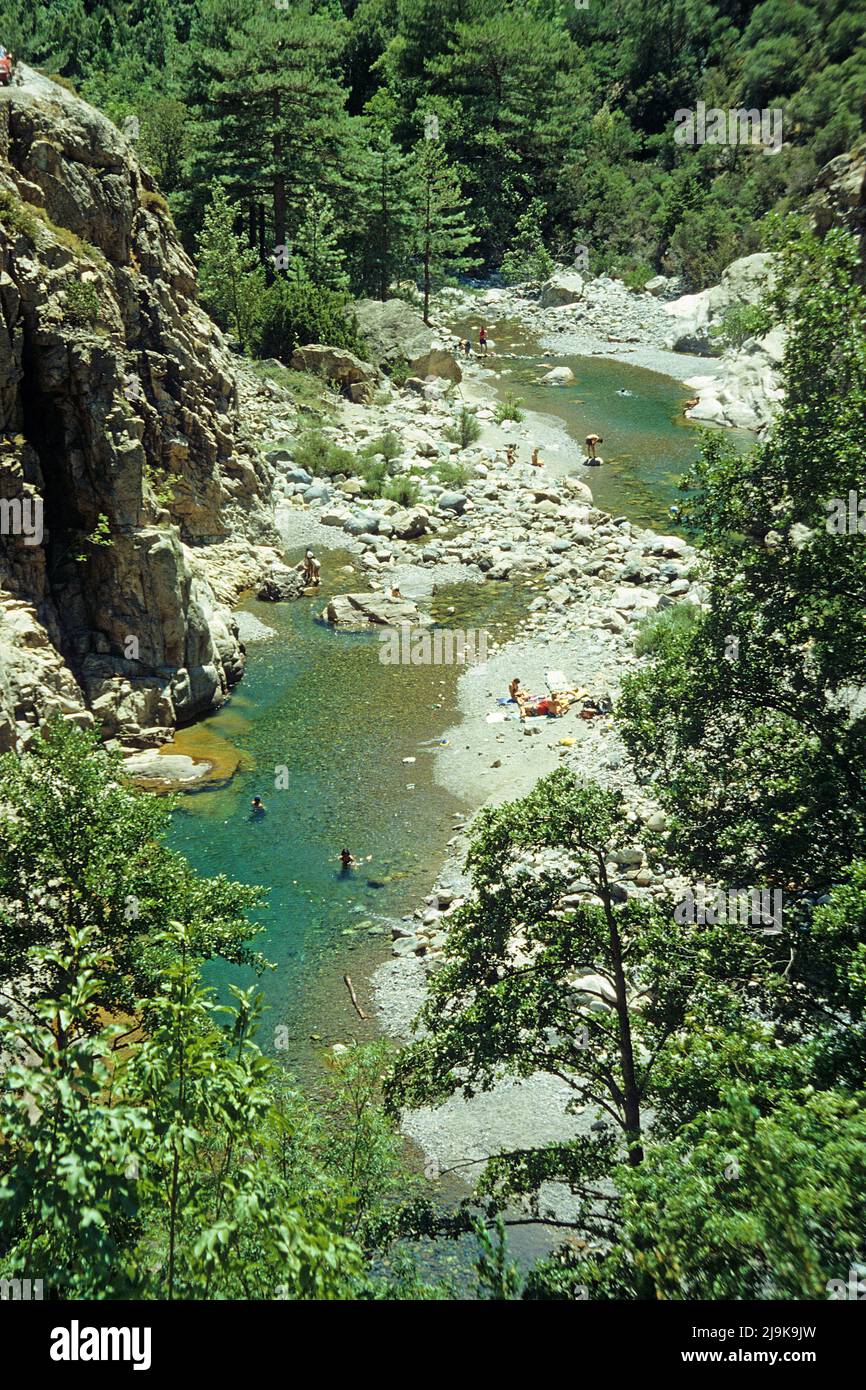 Einheimische und Touristen baden in einem Pool eines Baches, Wasserbecken im Asco-Tal, Korsika, Frankreich, Mittelmeer, Europa Stockfoto