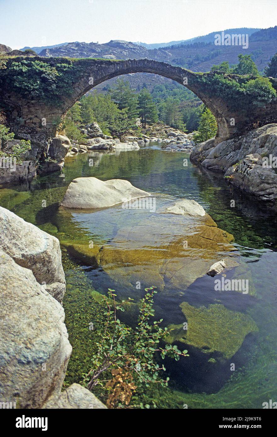 Alte genuesische Steinbrücke im Niolu-Tal, Calacuccia, Korsika, Frankreich, Mittelmeer, Europa Stockfoto