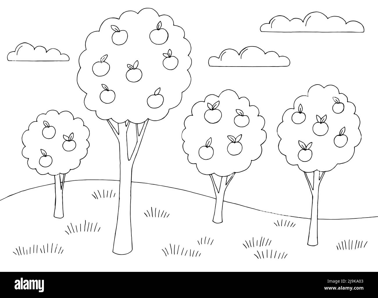 Apple Garten Einfachheit Grafik schwarz weiß Landschaft Skizze Illustration Vektor Stock Vektor