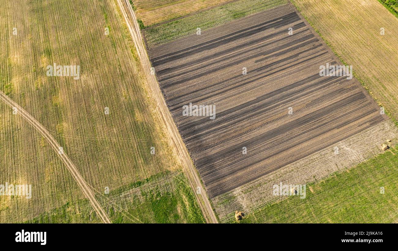 Luftaufnahme eines Landes mit gesät Felder in der Landschaft. Landschaftspflege. Auf Dem Land. Blick von oben auf Ackerland Stockfoto