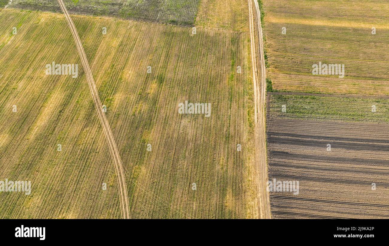 Luftaufnahme eines Landes mit gesät Felder in der Landschaft. Landschaftspflege. Auf Dem Land. Blick von oben auf Ackerland Stockfoto