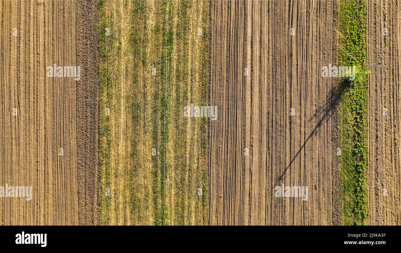 Luftaufnahme eines Landes mit gesät Felder in der Landschaft. Landschaftspflege. Auf Dem Land. Blick von oben auf Ackerland Stockfoto