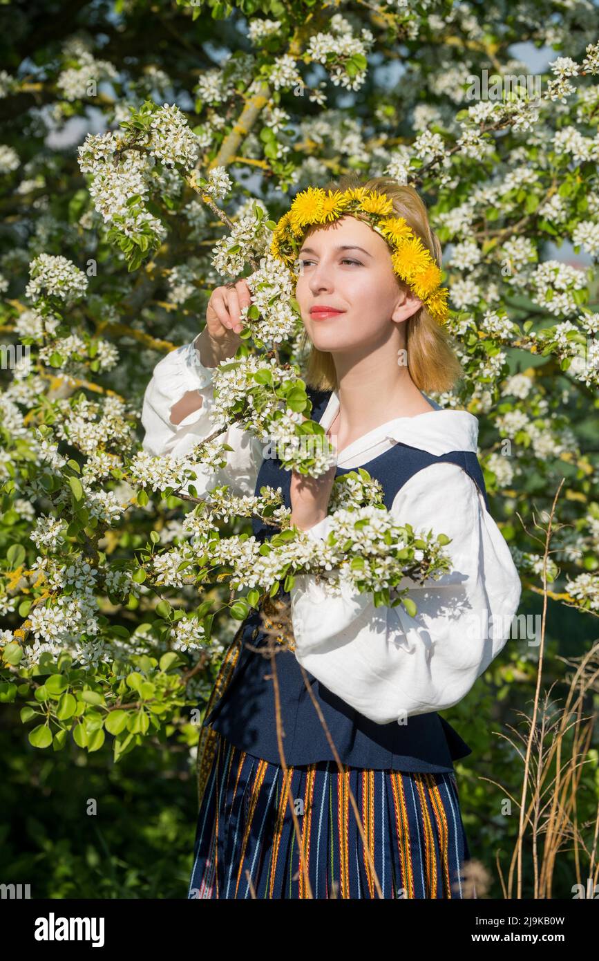 Schöne Frau in Nationalkleid mit weißen Frühlingsblumen. Lettland Stockfoto