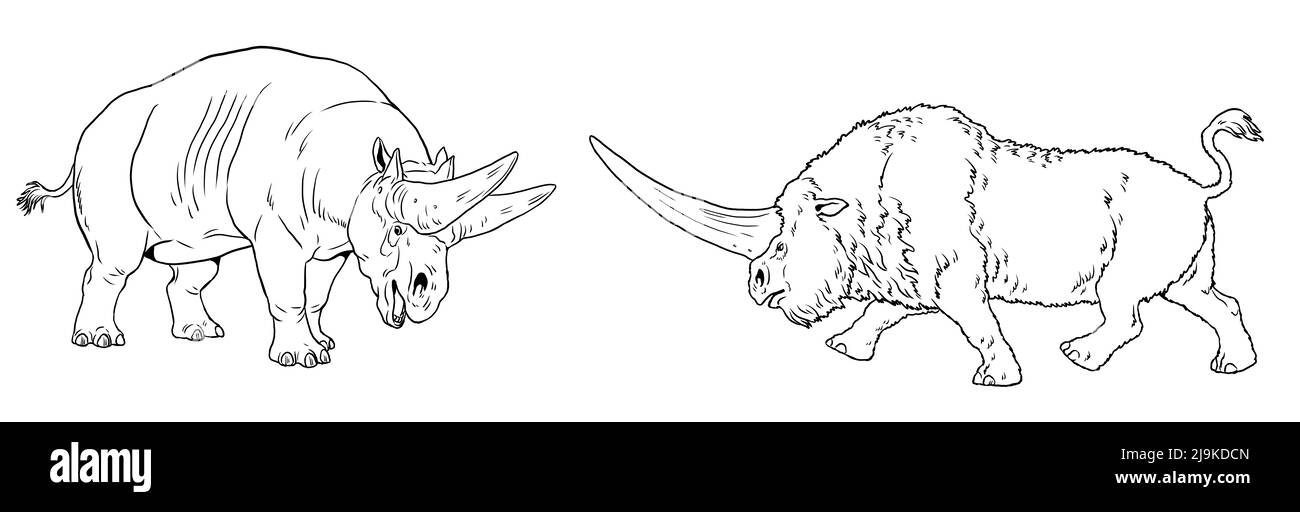 Prähistorische Nashörner - Elasmotherium und Arsinoitherium. Zeichnung mit ausgestorbenen Säugetieren. Silhouette Zeichnung für zum ausmalen. Stockfoto